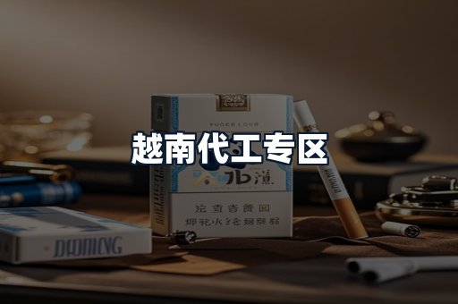 越南代工专区